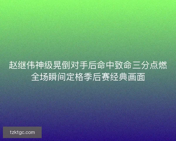 赵继伟神级晃倒对手后命中致命三分点燃全场瞬间定格季后赛经典画面