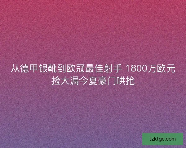 从德甲银靴到欧冠最佳射手 1800万欧元捡大漏今夏豪门哄抢