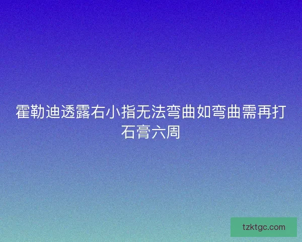 霍勒迪透露右小指无法弯曲如弯曲需再打石膏六周 霍勒迪透露右小指无法弯曲如弯曲需再打石膏六周