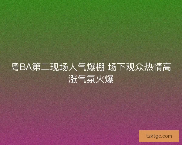 粤BA第二现场人气爆棚 场下观众热情高涨气氛火爆