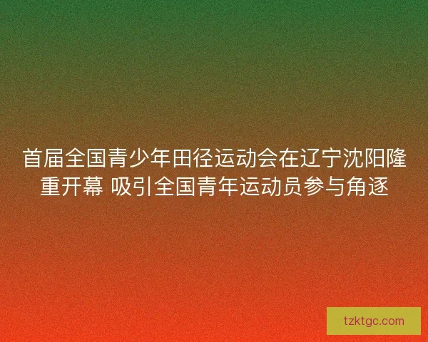 首届全国青少年田径运动会在辽宁沈阳隆重开幕 吸引全国青年运动员参与角逐