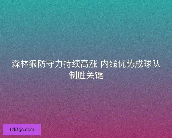 森林狼防守力持续高涨 内线优势成球队制胜关键